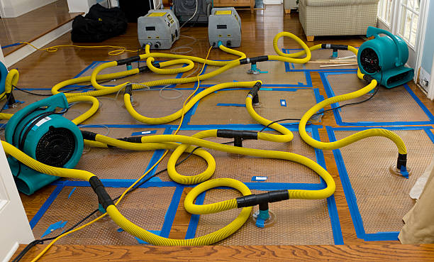 Professional Crawl Space Water Removal technician working in Harrisburg, OR
